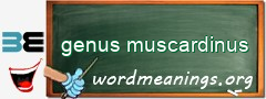 WordMeaning blackboard for genus muscardinus